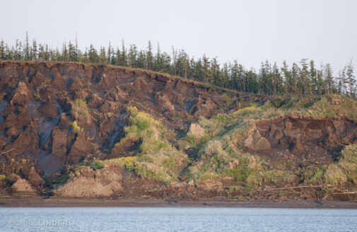 A severely eroding hillside sloughs land towards the water due to permafrost thaw