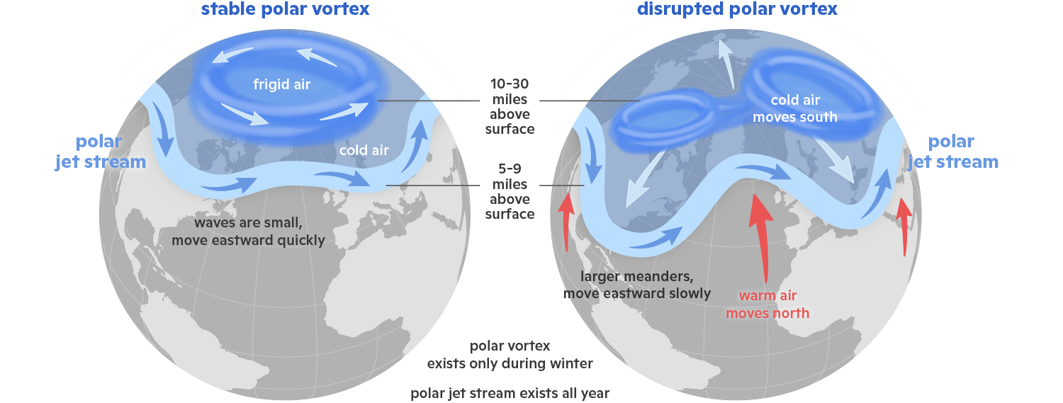 graphic illustrating stable polar vortex compared to a disrupted polar vortex