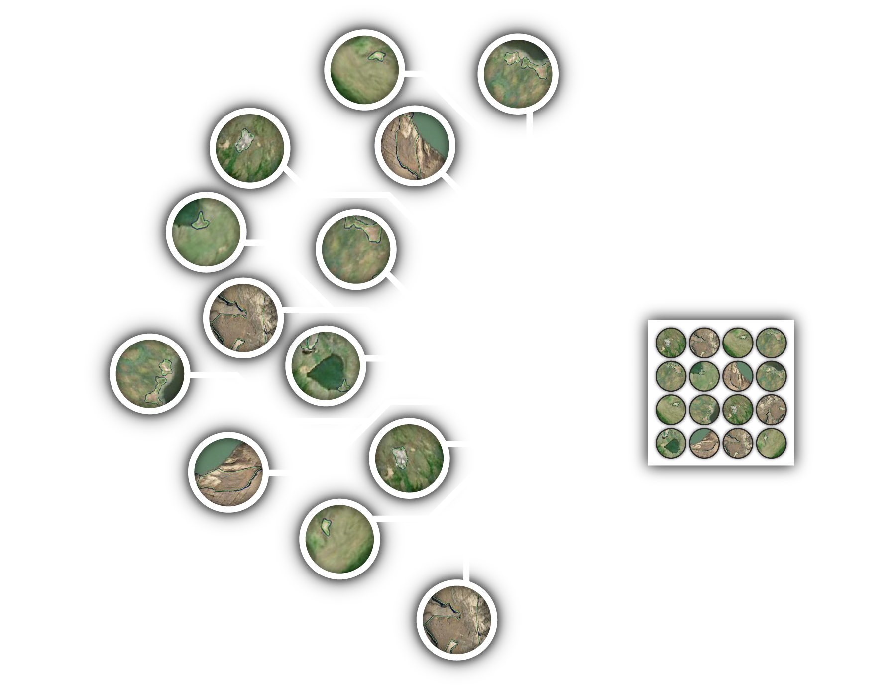 network of inputs into an ai model