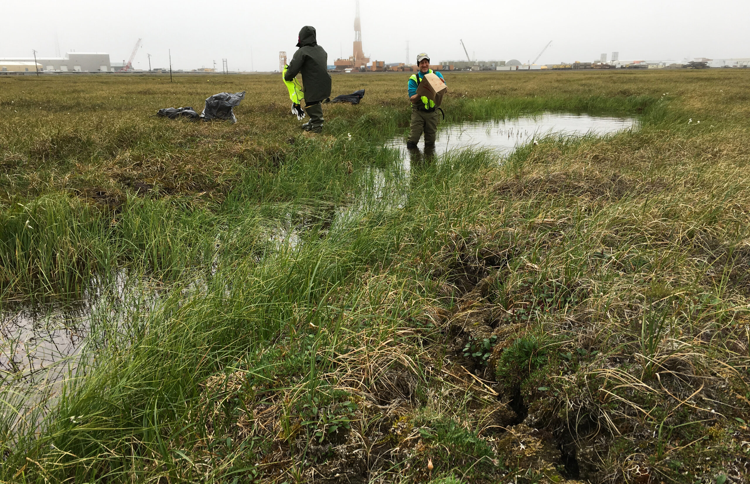 researchers on an ice wedge landscape where water has pooled and degradation has led the soil to crack