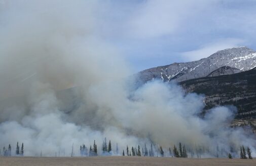 Smoke billows up from a forest fire, with a mountain as a backdrop