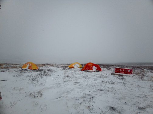 tents on a snowy arctic landscape