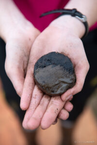 Hands holding a puck-shaped piece of permafrost