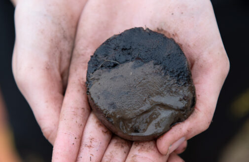 Hands holding a puck-shaped piece of permafrost