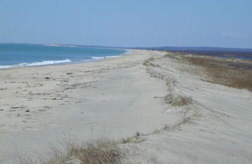 A sandy remote beach on Martha's Vineyard