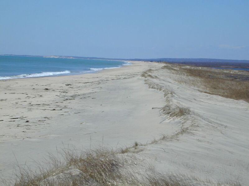 A sandy remote beach on Martha's Vineyard