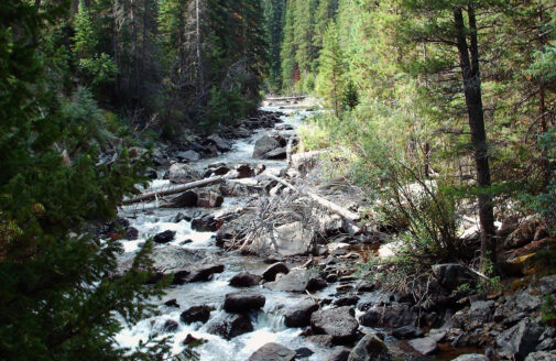 Cache la Poudre River rapids, photo by Oneliketadow (CC-BY-SA 3.0)