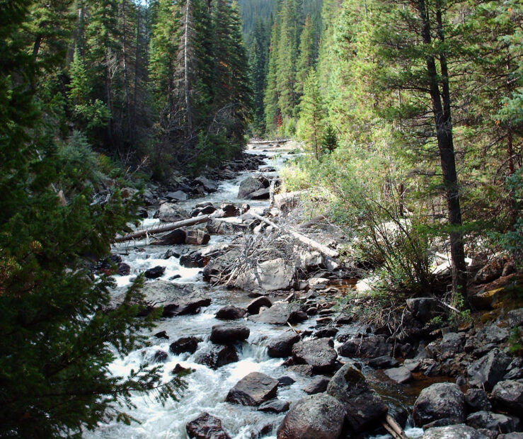 Cache la Poudre River rapids, photo by Oneliketadow (CC-BY-SA 3.0)