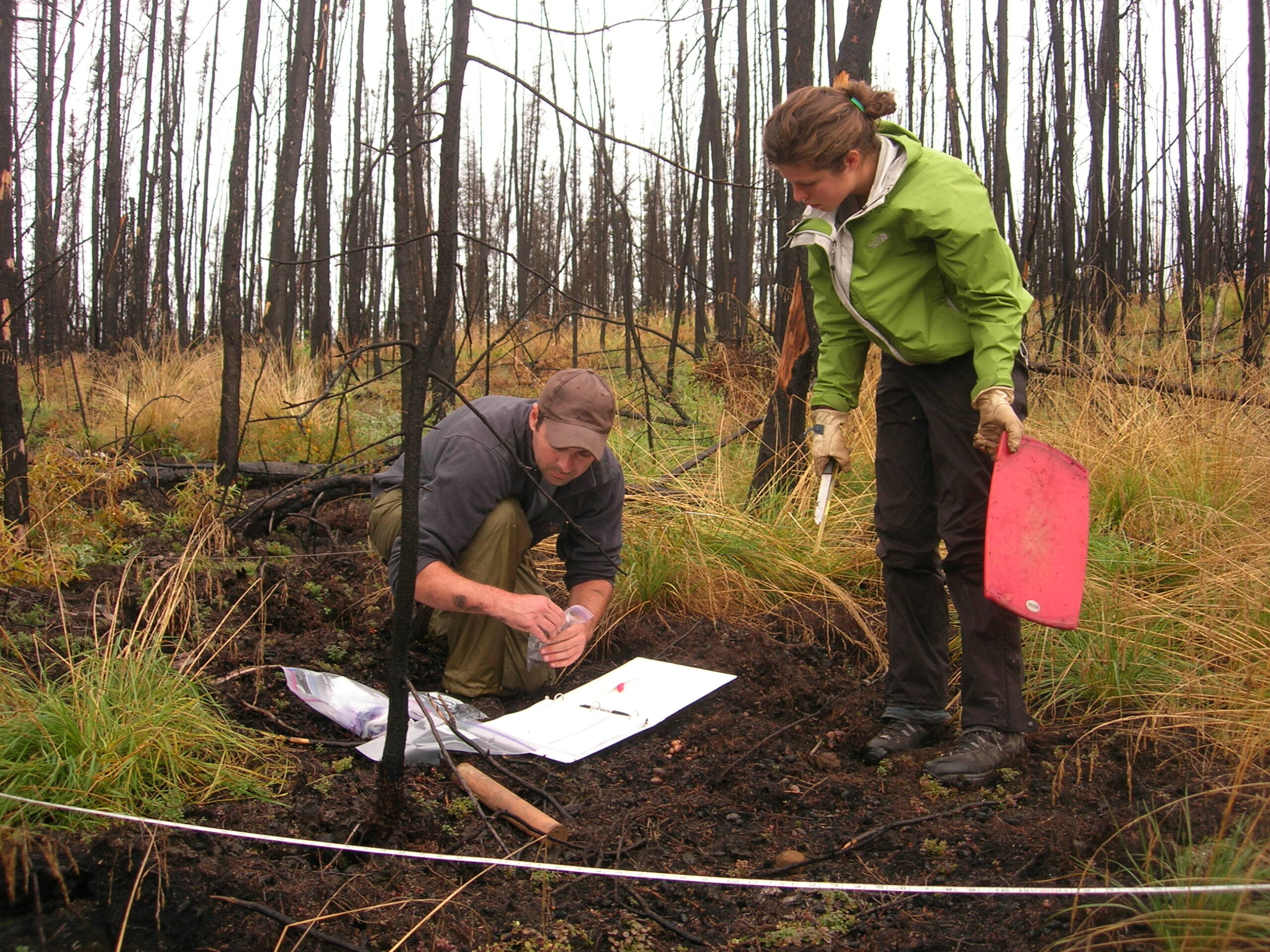 Dr. Brendan Rogers kneels in a burned black spruce boreal forest, packaging a soil sample. Another researcher stands beside him holding a cutting board and a knife-like tool for collecting samples