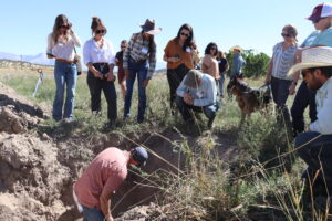 a group of people stand around looking into a hole dug into the ground, while another person in the hole points out something to look at