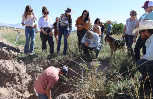 a group of people stand around looking into a hole dug into the ground, while another person in the hole points out something to look at