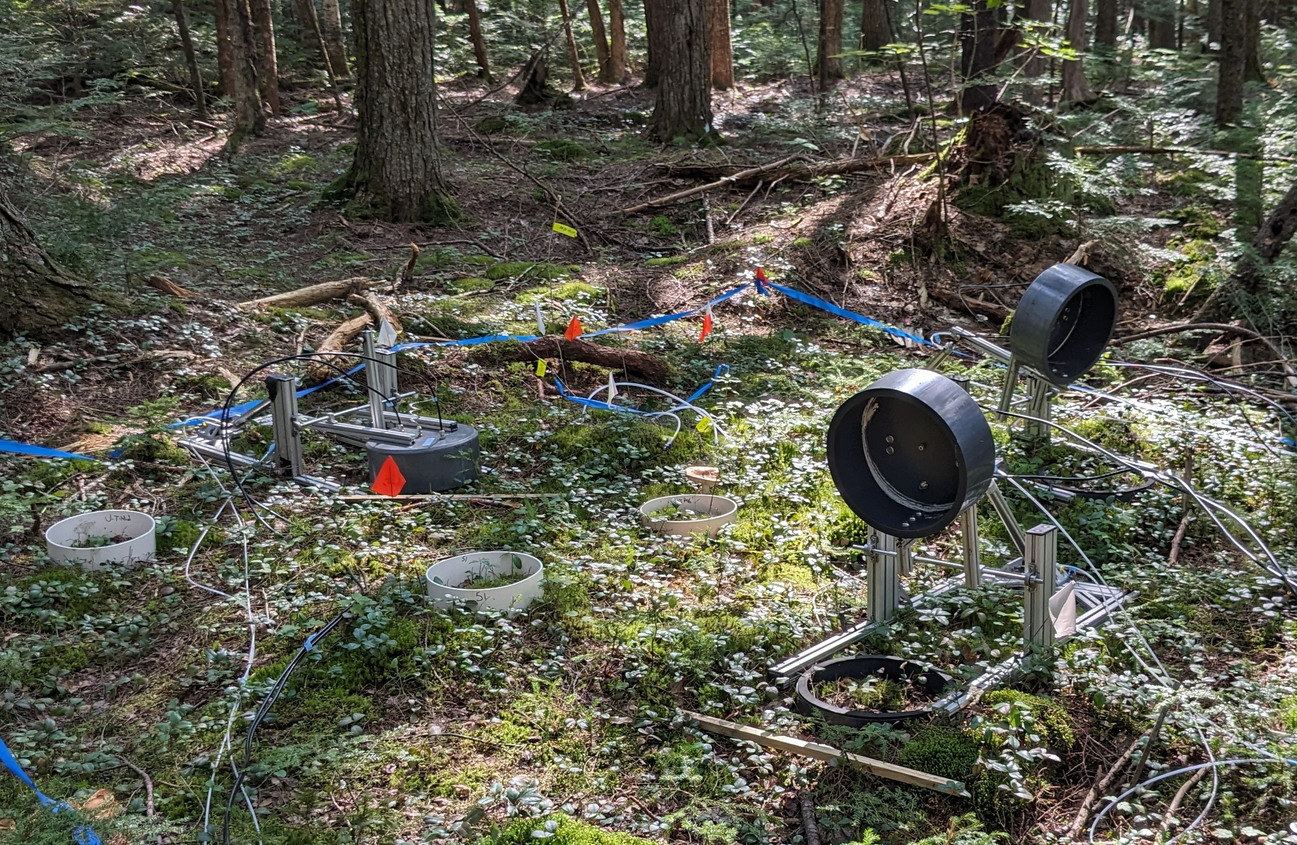 Circular instruments sit inside of a square marked on the forest floor by blue tape; the instruments are used to measure methane fluxes