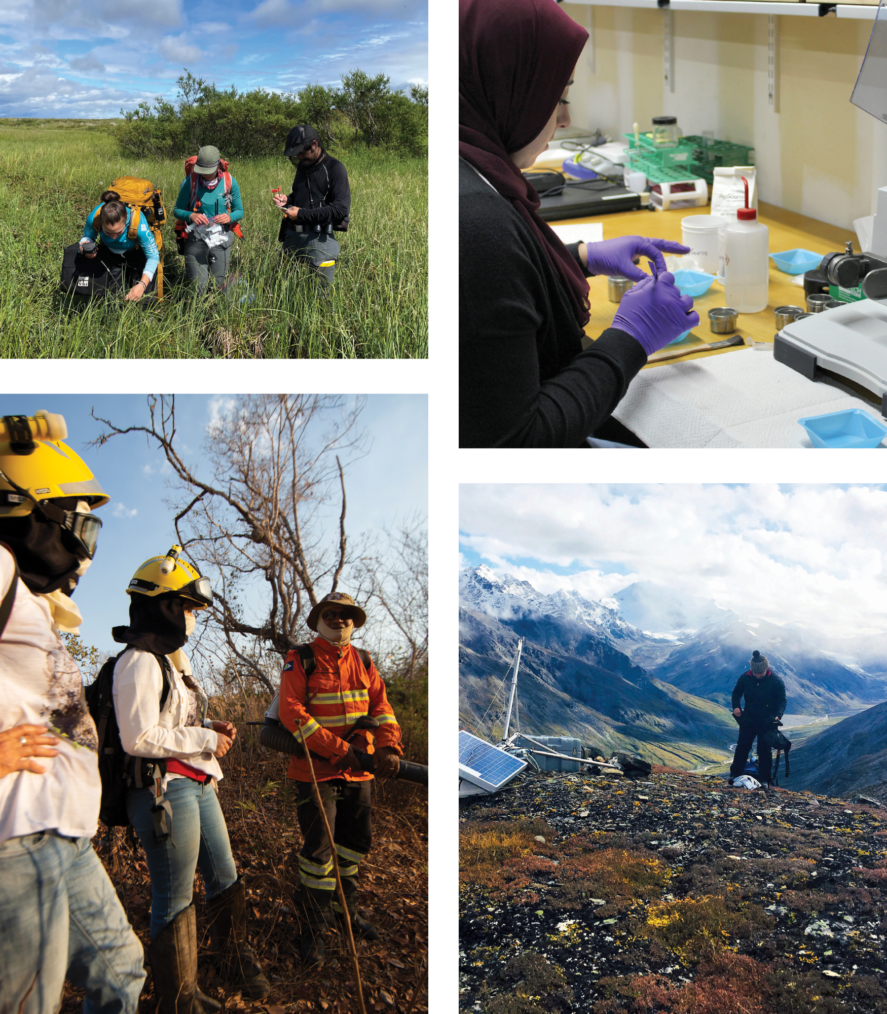 collage of scientists at work