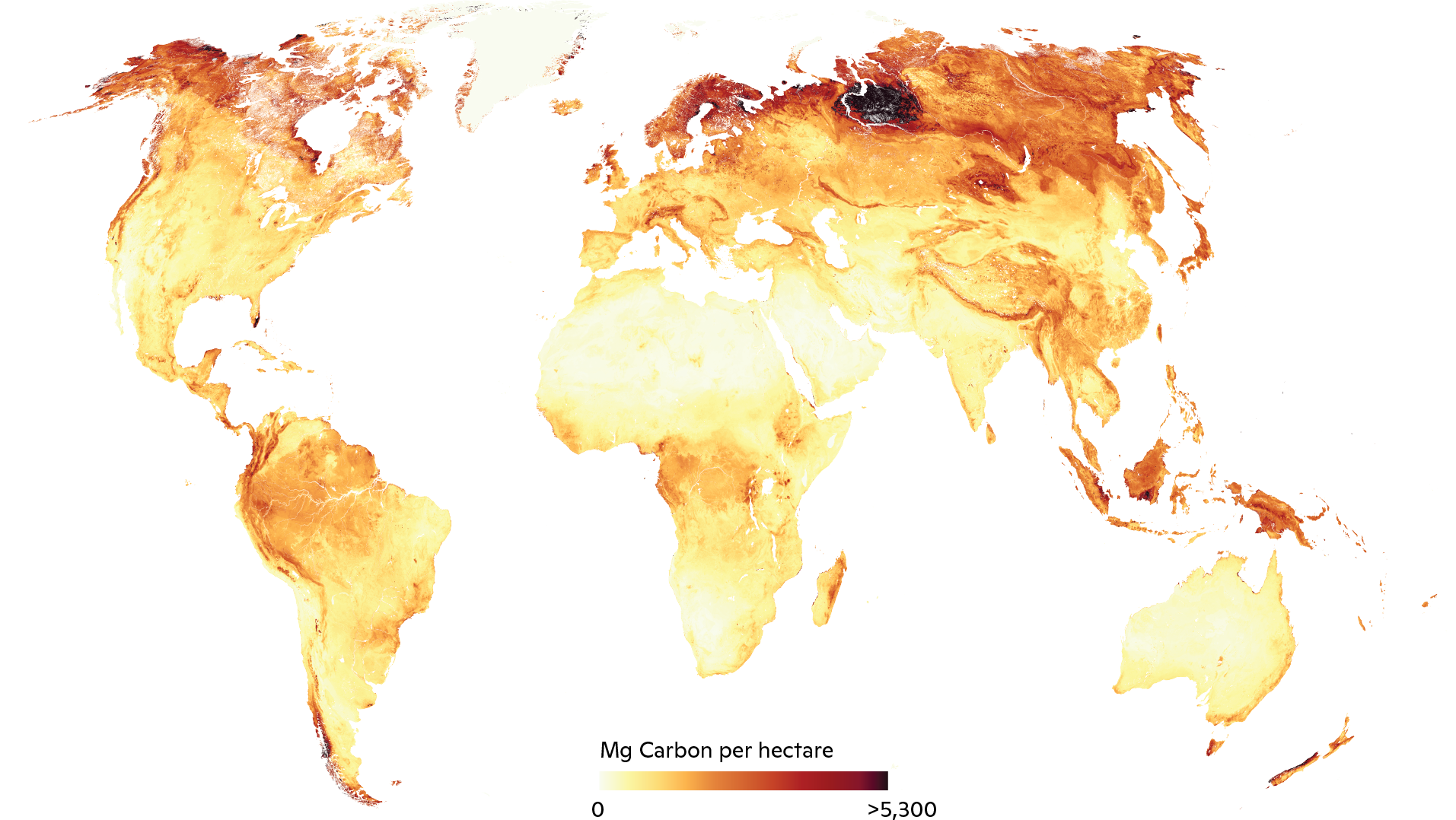 map showing carbon, stored both above and belowground in vegetation and soils, varies greatly around the globe.