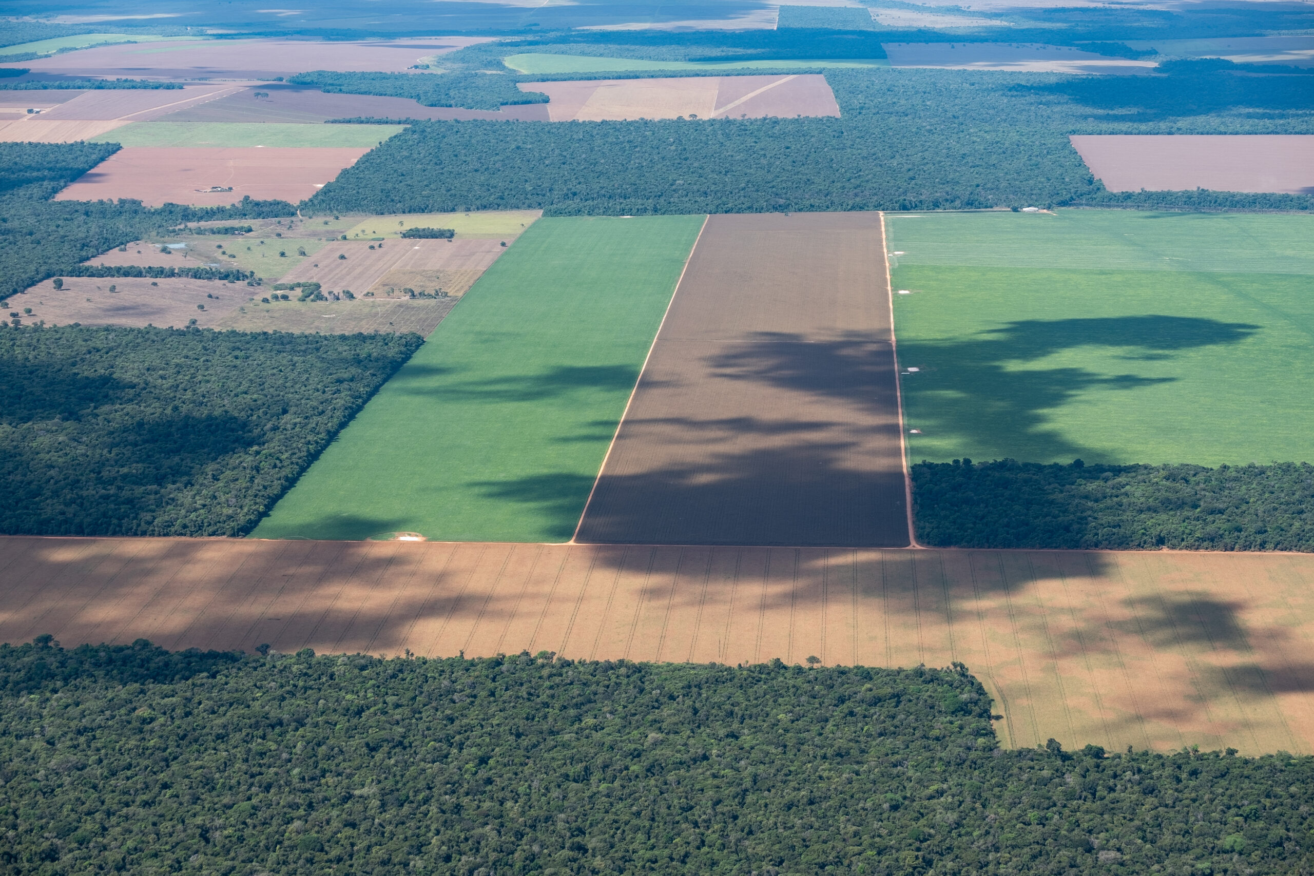 an aerial view from the Amazon region showing a patchwork landscape of dark green rainforest, light green crops, and brown fallow fields