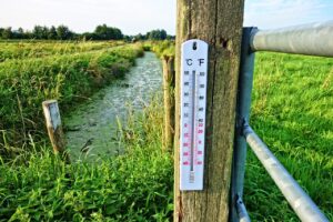 A thermometer nailed to a fence post outside in a field