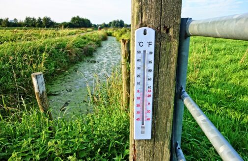 A thermometer nailed to a fence post outside in a field