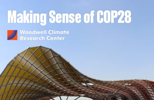 a still image with text: Making Sense of COP28, Woodwell Climate Research Center