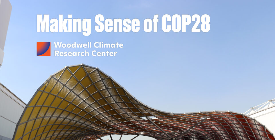 a still image with text: Making Sense of COP28, Woodwell Climate Research Center