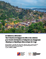 Cover page of the DRC risk assessment