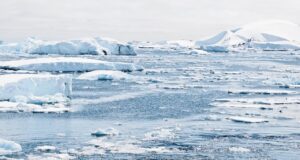 sea ice floats in pieces on the water