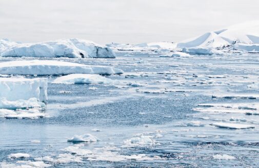 sea ice floats in pieces on the water