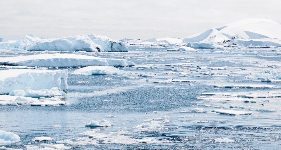 sea ice floats in pieces on the water