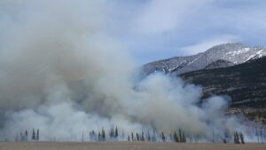 smoke rising from a forest fire