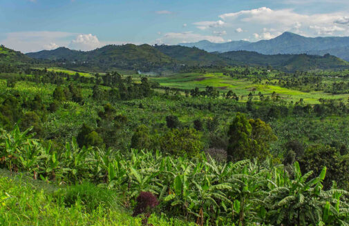 DRC countryside