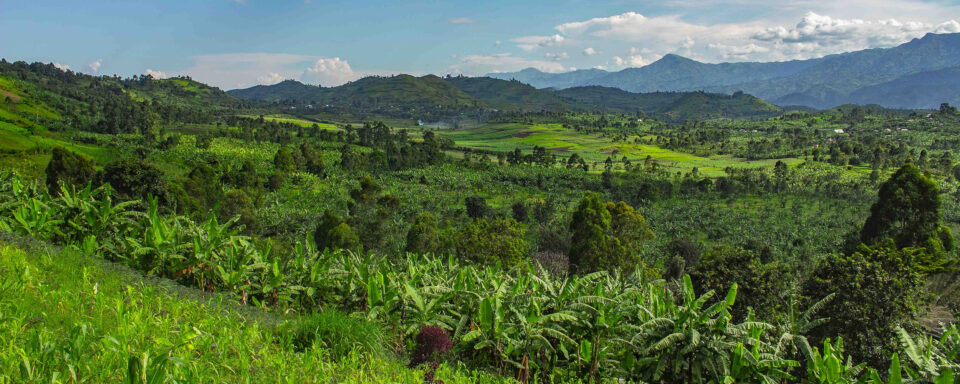 DRC countryside