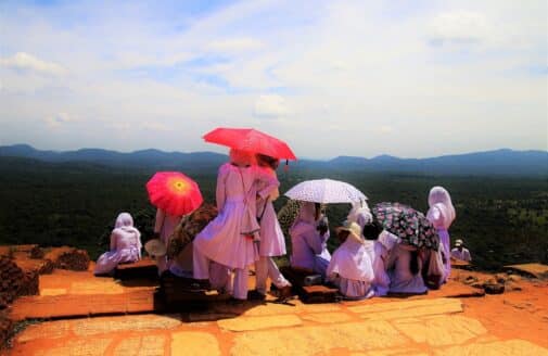 A group of women stand under umbrellas in the sun