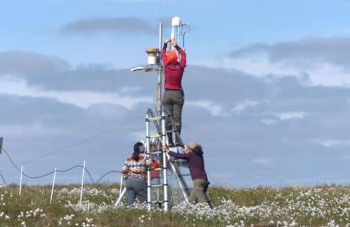 two researchers hold a ladder steady for a third researcher who is working with equipment at the top of a mid-size tower in Alaska