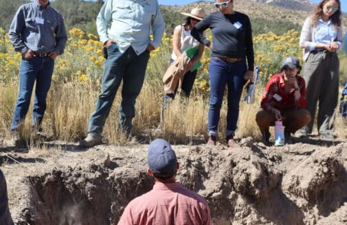 a group of people look at a man standing in a deep hole in the dirt