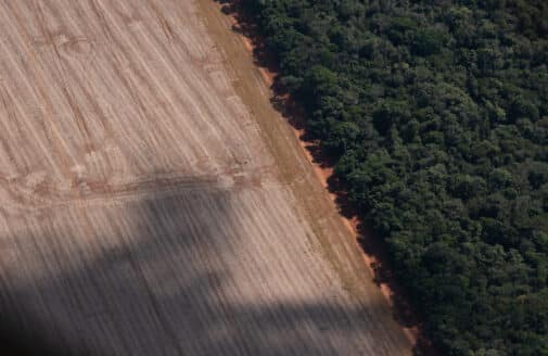 an aerial photo of the boundary between a brown, dry farm field and lush, green forest