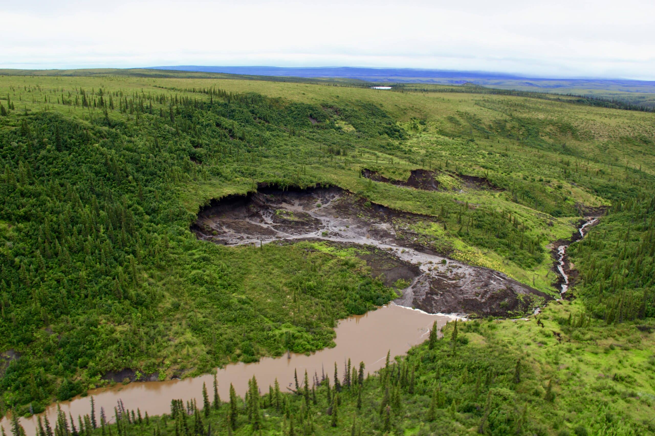 a brown river flows through green, grassy tundra into a part of the land where large-scale erosion has eaten away a huge chunk of the land surface, washing it downstream