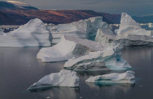 Arctic ice floes