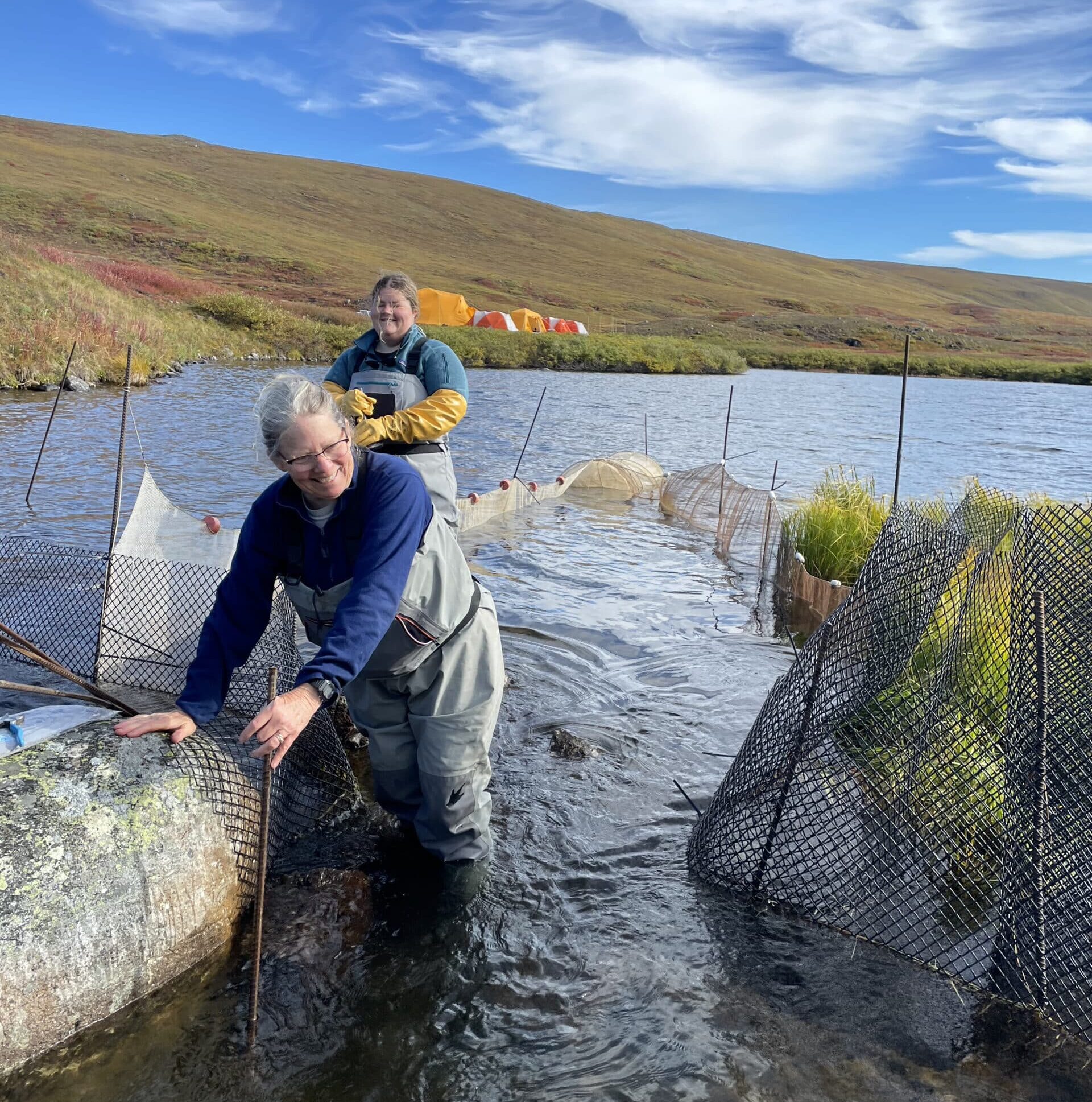 Dr. Linda Deegan and Kathleen Lewis stand knee-deep in a stream, installing netting for research