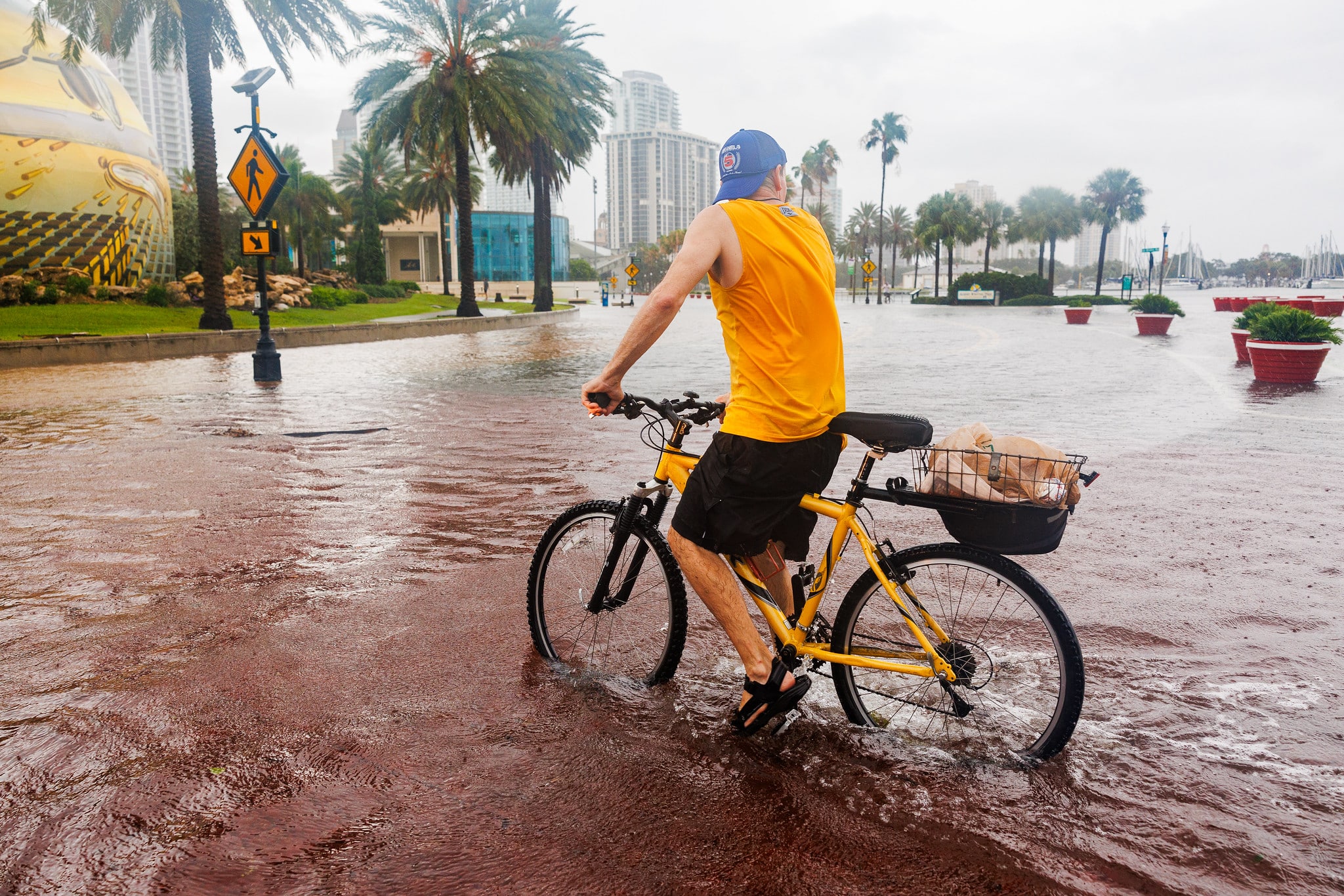 man on a bicycle in flooded street in st petersburg florida