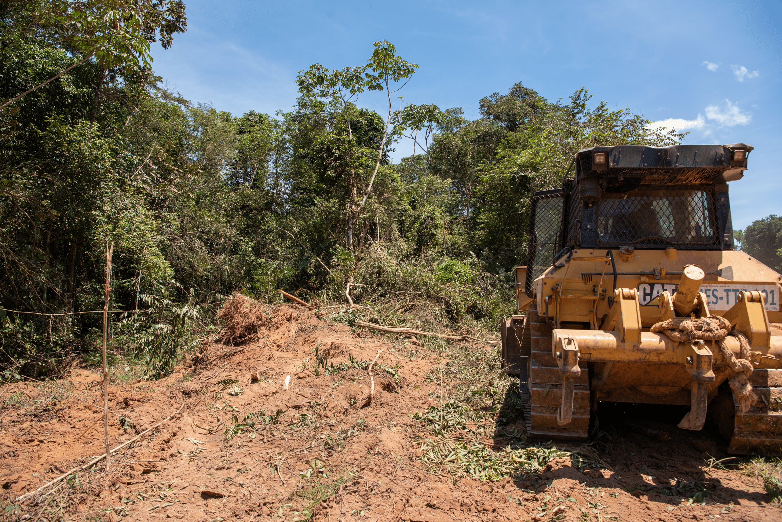 bulldozer next to torn down trees