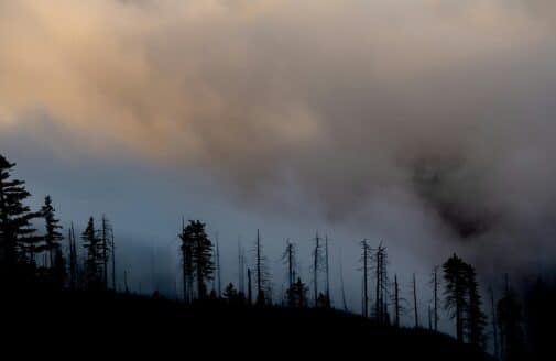 Smoke mixes with fog and clouds over a burned evergreen forest