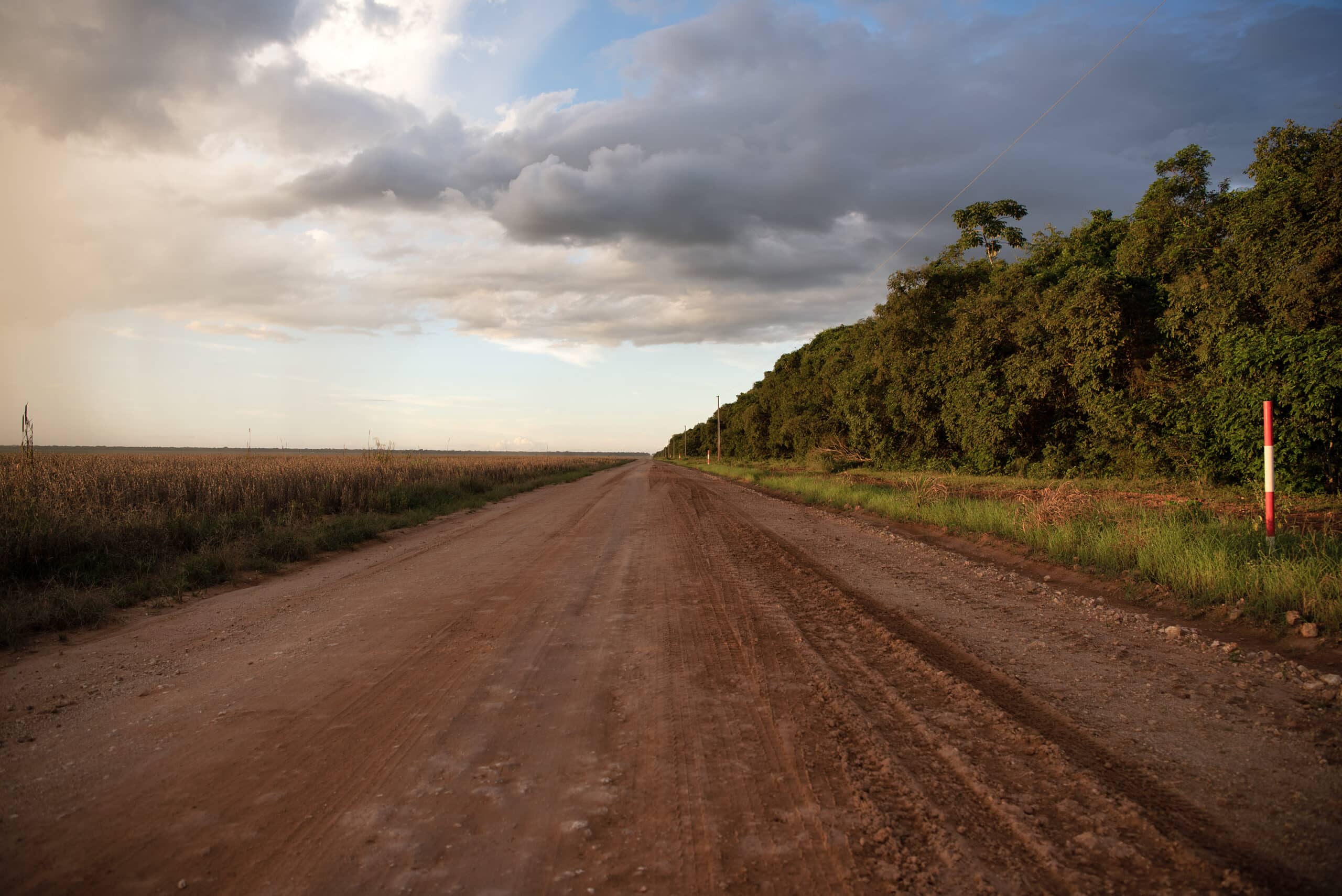 photo of road barrier between intact forest and soy field at sunset