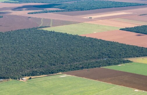 an aerial photo of a small patch of forest surrounded by green and brown farm fields