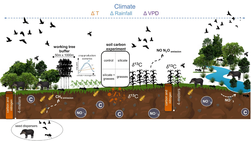 a diagram representing the various research questions examined by the GALO project, enumerated in the caption