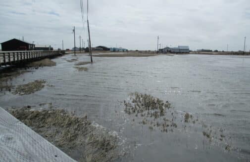 flooded land under grey sky