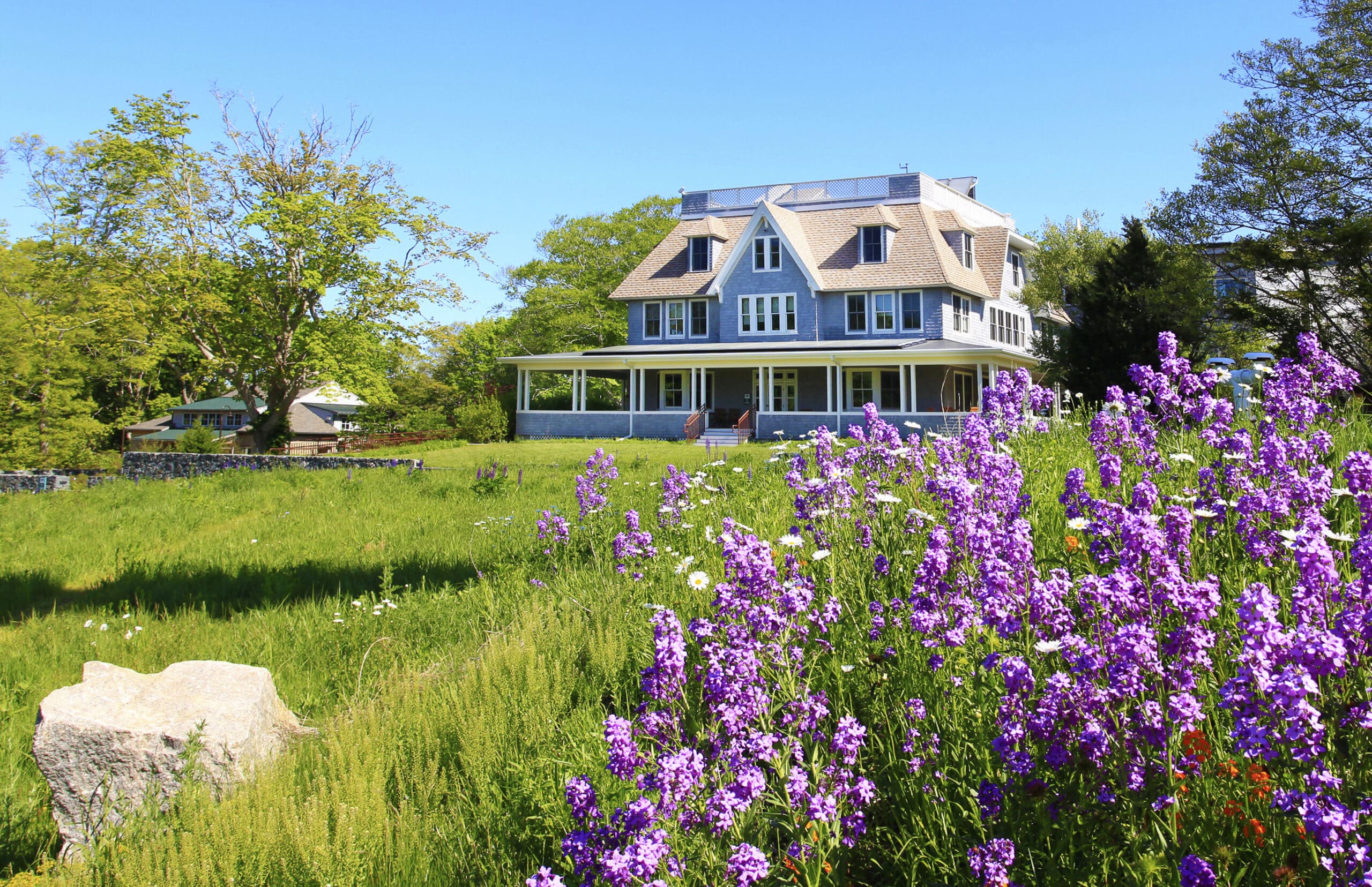 woodwell campus with purple flowers