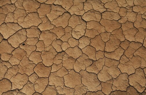 dry, cracked, brown earth