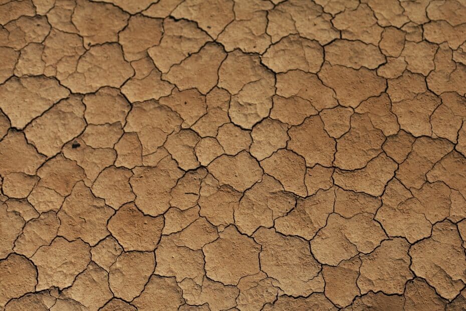 dry, cracked, brown earth