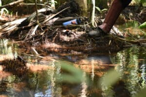 a foot stands on the bank of a small stream, dappled with sunlight