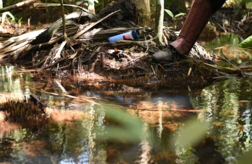 a foot stands on the bank of a small stream, dappled with sunlight