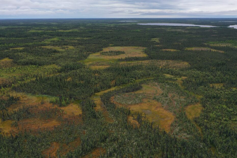 Thawing peat plateau complex near Scotty Creek, Northwest Territories